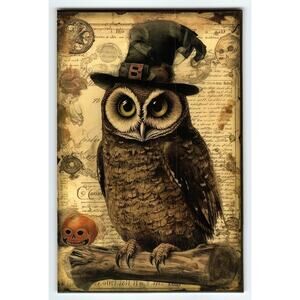 Vintage Halloween Owl with Witch Hat Fantasy Photochrome Postcard 6x4 Chrome